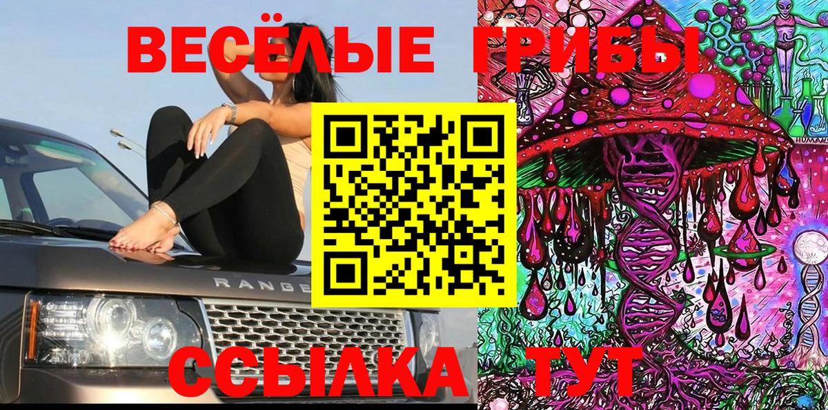 Галлюциногенные грибы Psilocybe Асино