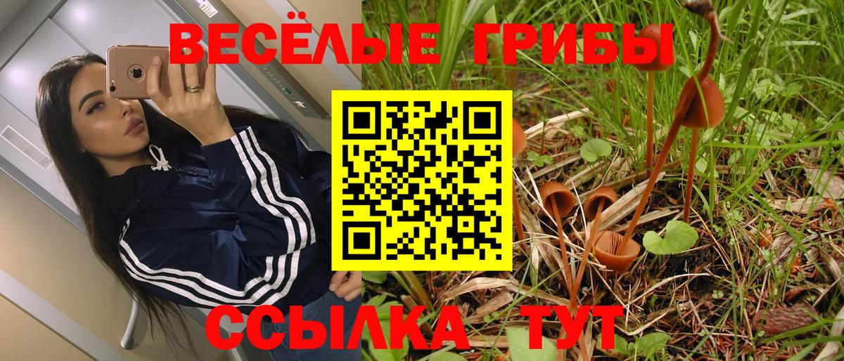 Асино  Псилоцибиновые грибы MAGIC MUSHROOMS  Вход с VPN 